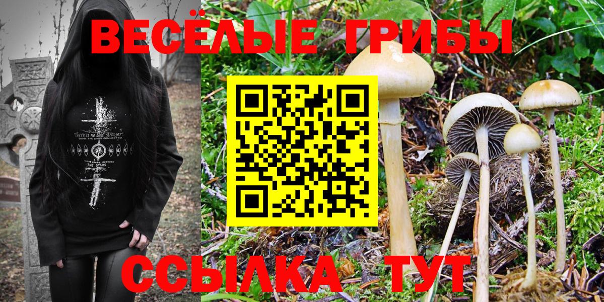 Псилоцибиновые грибы Magic Shrooms Дятьково