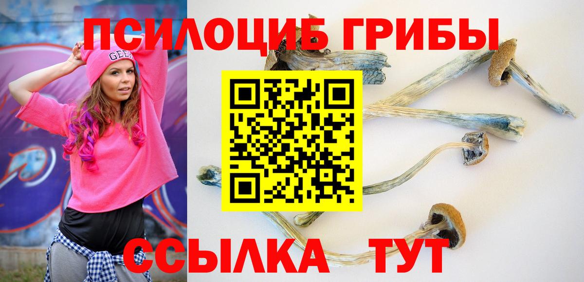 Дятьково  Псилоцибиновые грибы прущие грибы  Вход с VPN 